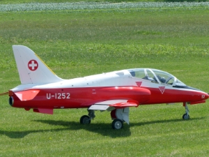 Flugtage